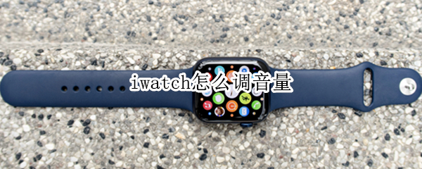 iwatch怎么调音量