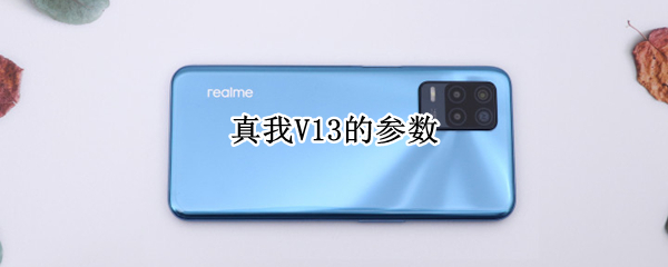真我V13的参数