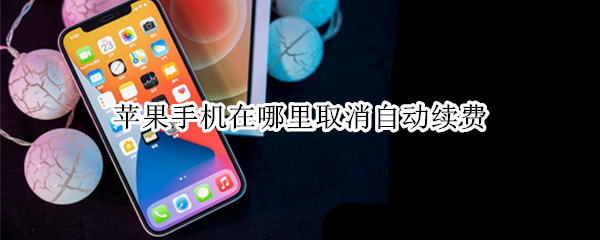 苹果手机在哪里取消自动续费