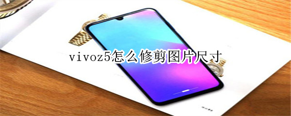 vivoz5怎么修剪图片尺寸