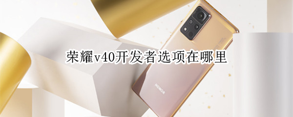 荣耀v40开发者选项在哪里
