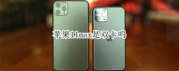 苹果11max是双卡吗