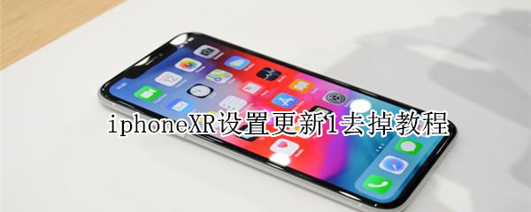 iphoneXR设置更新1去掉