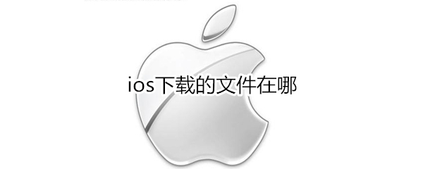 ios下载的文件在哪