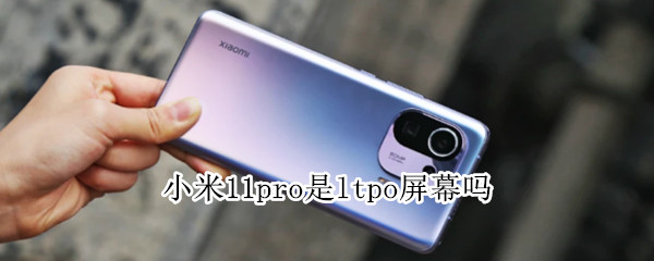 小米11pro是ltpo屏幕吗