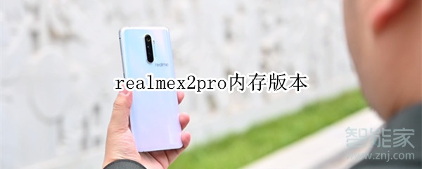 realmex2pro内存版本