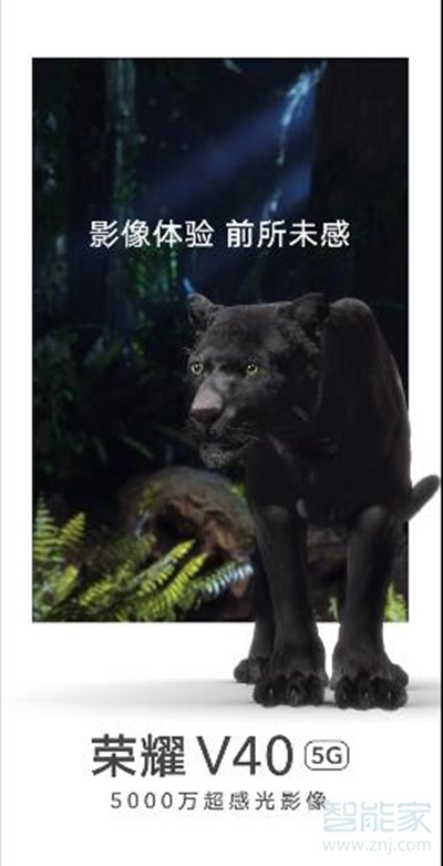 荣耀v40像素是多少