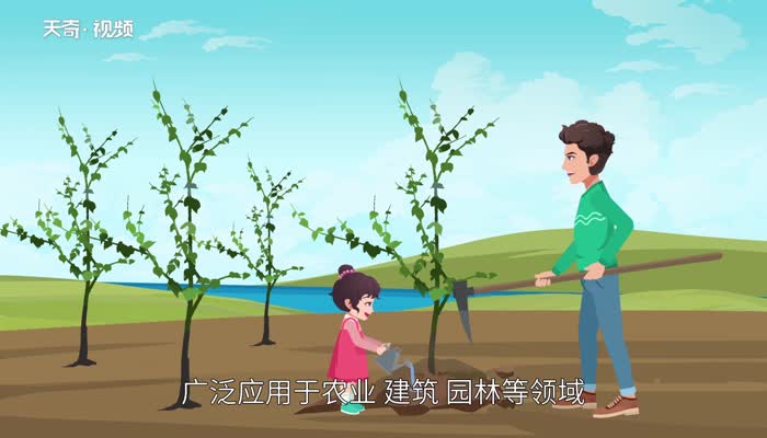 铁锹的意思 铁锹的意思是什么