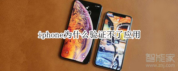 iphone为什么验证不了应用