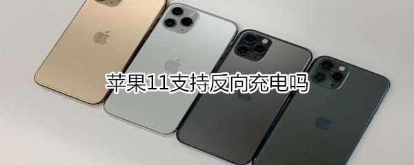 苹果11支持反向充电吗