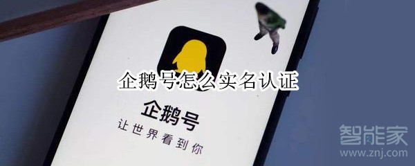 企鹅号怎么实名认证