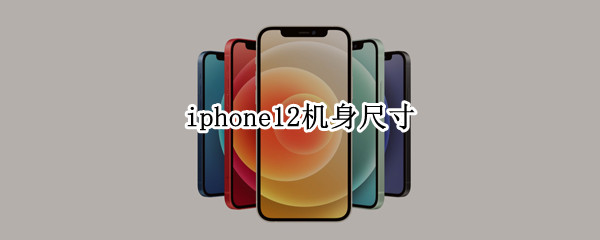 iphone12机身尺寸