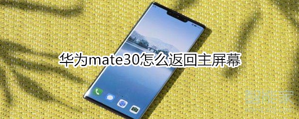 华为mate30怎么返回主屏幕