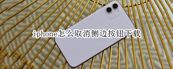 iphone怎么取消侧边按钮下载