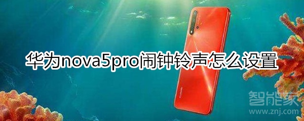 华为nova5pro闹钟铃声怎么设置