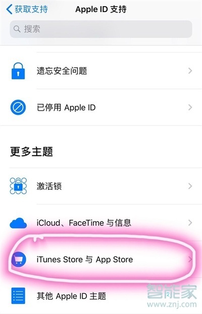 appstore自动扣款怎么退款