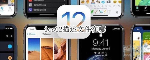 ios12描述文件在哪