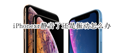 iPhonexr静音了还是振动怎么办