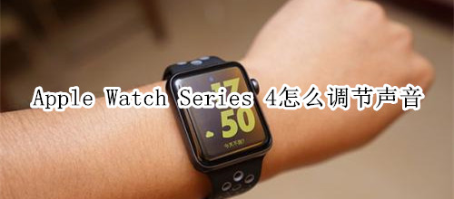 Apple Watch Series 4 耐克智能手表怎么调节声音