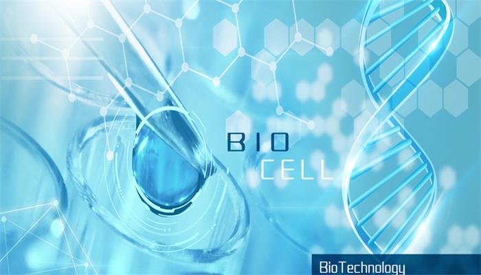 氯化钙和水反应化学方程式 氯化钙和水反应化学方程式是