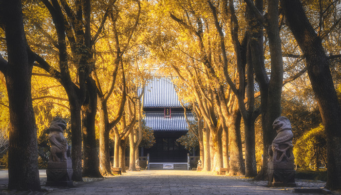 深山寺庙的唯美诗句 深山寺庙的唯美句子