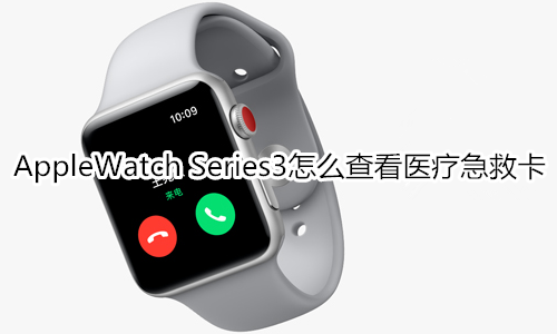 Apple Watch Series 3怎么查看医疗急救卡