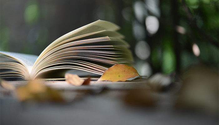 闻仲是什么神 闻仲是谁