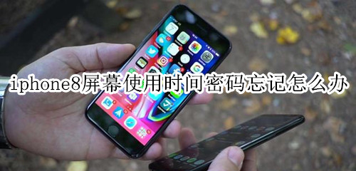 iphone8屏幕使用时间密码忘记怎么办