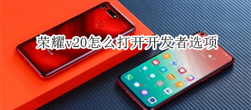 荣耀v20怎么打开开发者选项