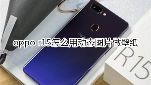 oppo r15怎么用动态图片做壁纸