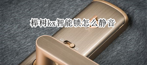 榉树kx智能锁怎么静音