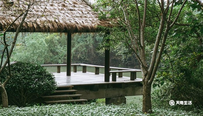 茅屋为秋风所破歌背景 茅屋为秋风所破歌背景介绍