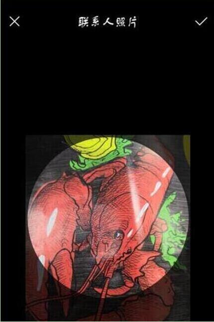 荣耀畅玩8c怎么设置来电头像