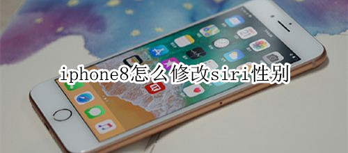 iphone8怎么修改siri性别