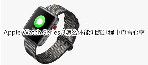 Apple Watch Series 3怎么体能训练过程中查看心率