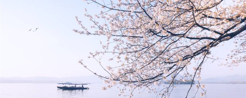 两个黄鹂鸣翠柳一行白鹭上青天描写的是什么季节 两个黄鹂鸣翠柳一行白鹭上青天描写的应该是什么季节