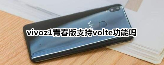 vivoz1青春版支持volte功能吗