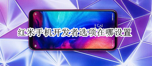 红米手机开发者选项在哪设置