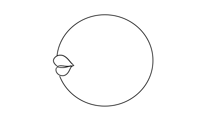 刺豚的简笔画