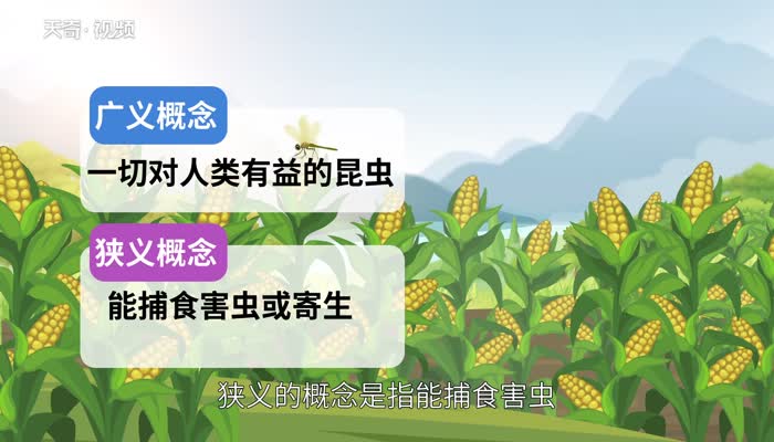 什么是益虫 益虫是什么意思