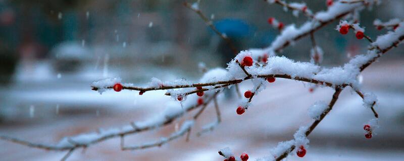 描写雪的古诗有哪些 关于雪的诗句