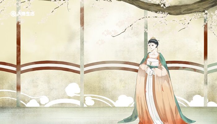 洛水佳人指的是谁 洛水佳人什么意思