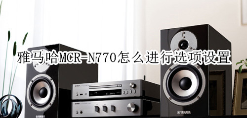 雅马哈MCR-N770蓝牙音箱怎么进行选项设置