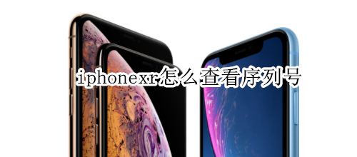 iphonexr怎么查看序列号