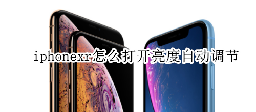 iphonexr怎么打开亮度自动调节