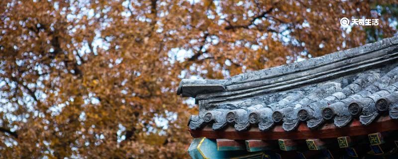 今逢四海为家日,故垒萧萧芦荻秋对应西塞山的是 今逢四海为家日故垒萧萧芦荻秋的意思