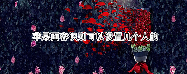苹果面容识别可以设置几个人的（苹果手机面容识别能设置几个人）