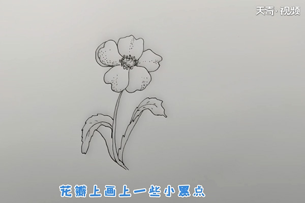 罂粟花简笔画