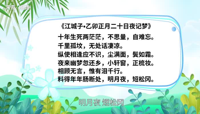 江城子赏析 江城子翻译