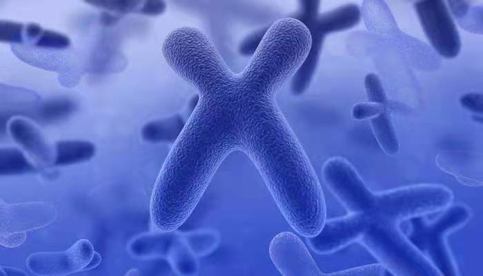 遗传物质包括哪些 遗传物质包括哪些